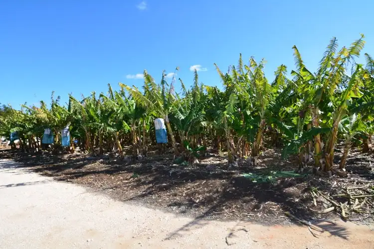 Sixth view of Homely house listing, 208 South River Road, Carnarvon WA 6701