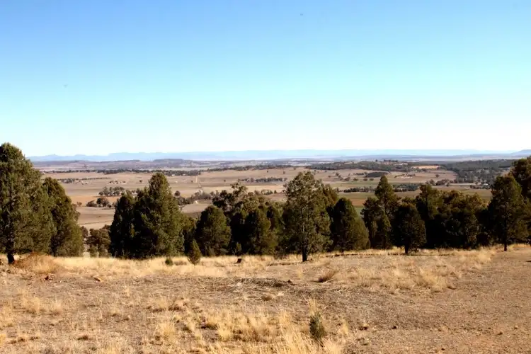 Third view of Homely rural property listing, 61 Ray Carter Drive, Quirindi NSW 2343