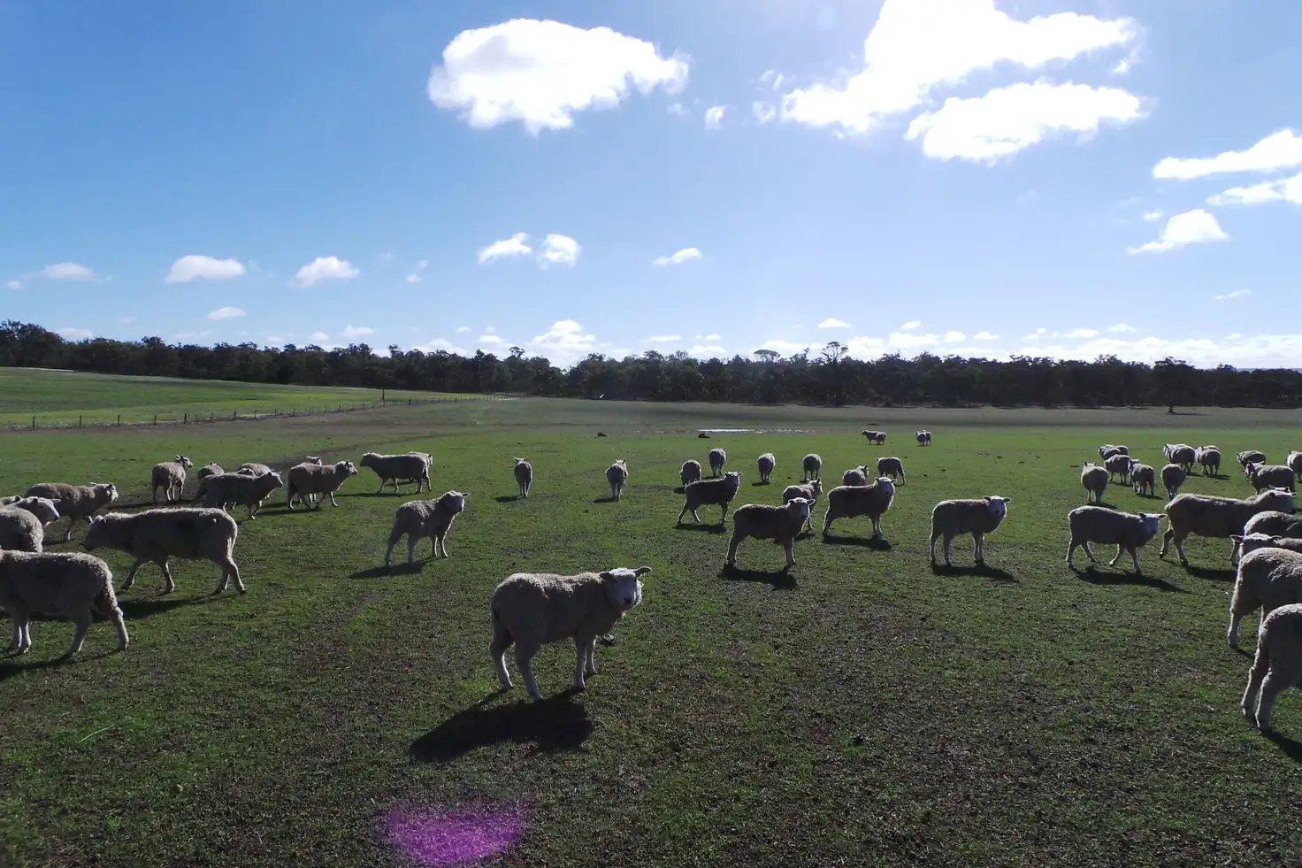 Main view of Homely land listing, Lot 2 Boyacup Road, Cranbrook WA 6321