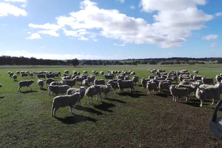 Second view of Homely land listing, Lot 2 Boyacup Road, Cranbrook WA 6321