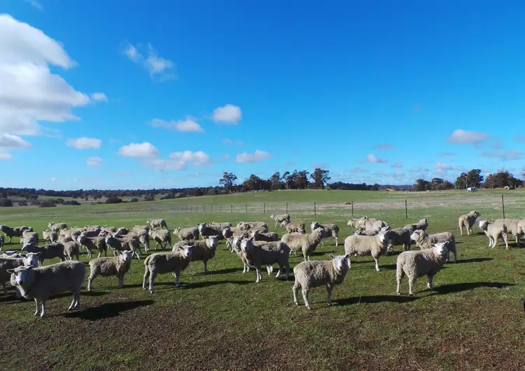 Third view of Homely land listing, Lot 2 Boyacup Road, Cranbrook WA 6321