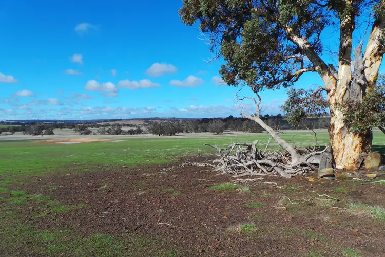Fifth view of Homely land listing, Lot 2 Boyacup Road, Cranbrook WA 6321