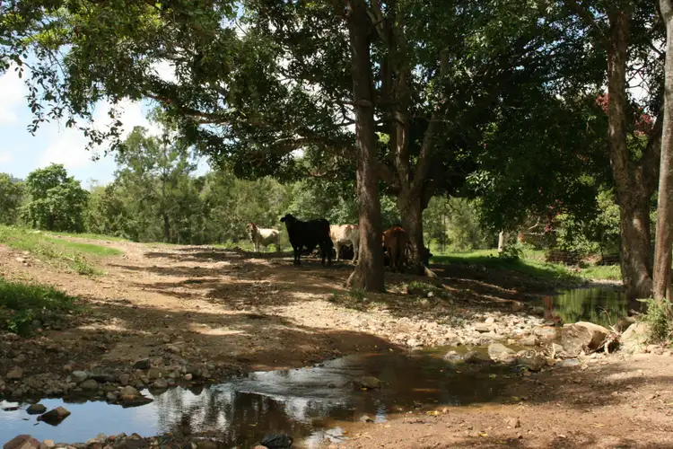 Third view of Homely rural property listing, 467 Middle Creek Road, Sarina QLD 4737