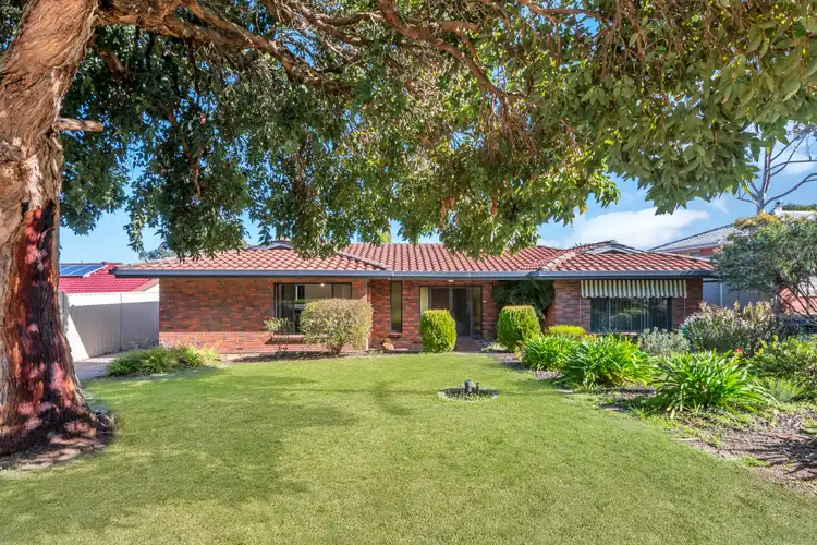 12 David Street, Happy Valley SA 5159