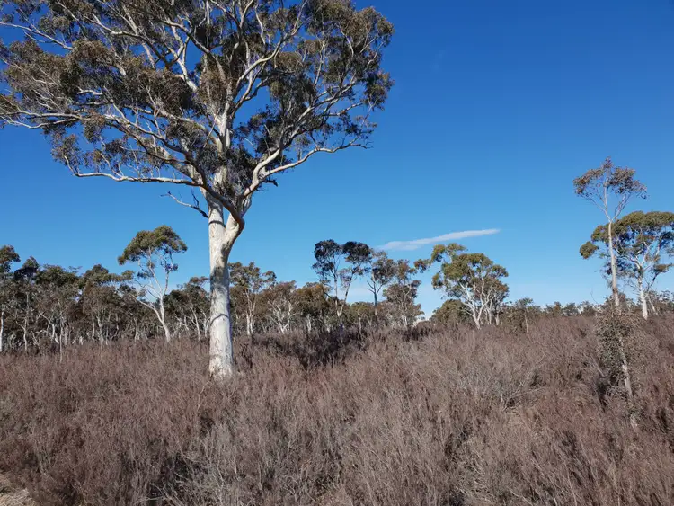 Third view of Homely rural property listing, 67 Stewarts Crossing Road, Braidwood NSW 2622