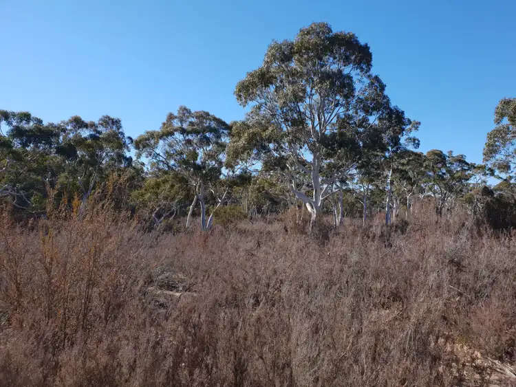 Fifth view of Homely rural property listing, 67 Stewarts Crossing Road, Braidwood NSW 2622