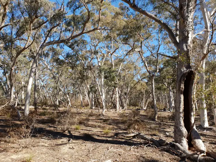 Sixth view of Homely rural property listing, 67 Stewarts Crossing Road, Braidwood NSW 2622