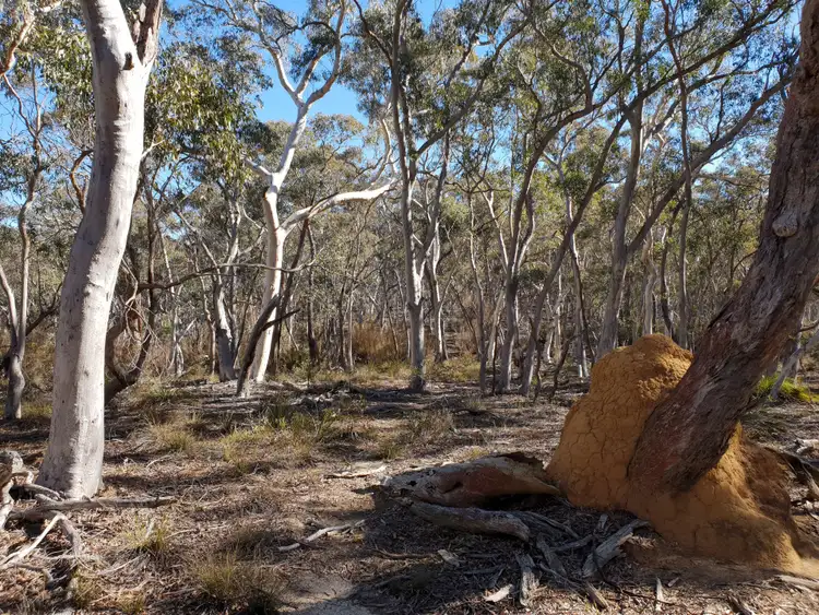 Seventh view of Homely rural property listing, 67 Stewarts Crossing Road, Braidwood NSW 2622