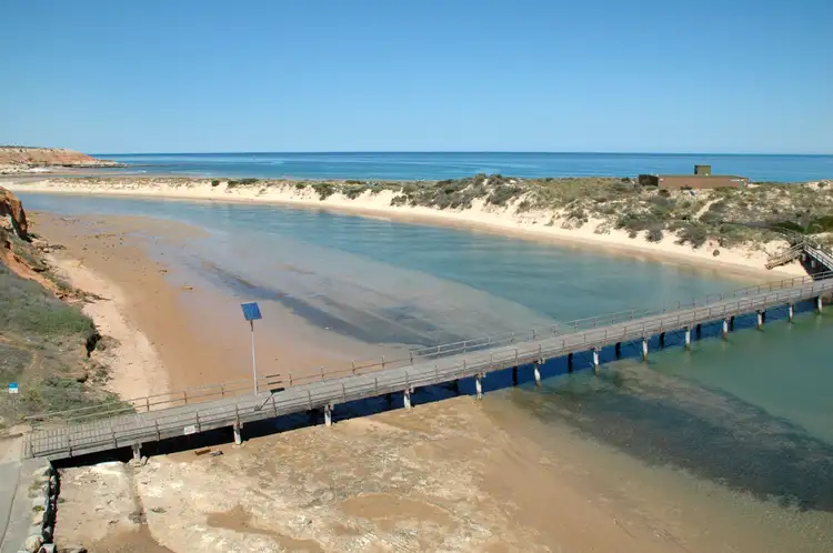 Main view of Homely land listing, 103 Albany Avenue, Port Noarlunga South SA 5167