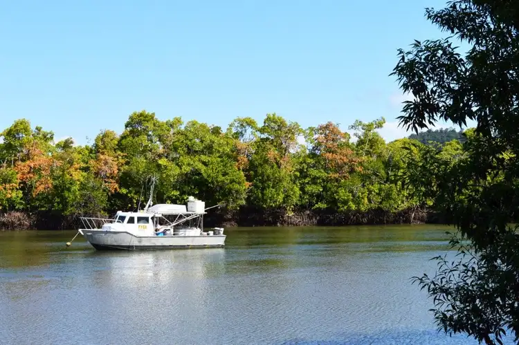 Fourth view of Homely house listing, 1 Palm Drive, Carmoo QLD 4852