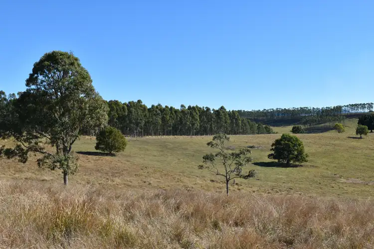 Fourth view of Homely rural property listing, Lot 11 Trenty's Lane, Doubtful Creek NSW 2470