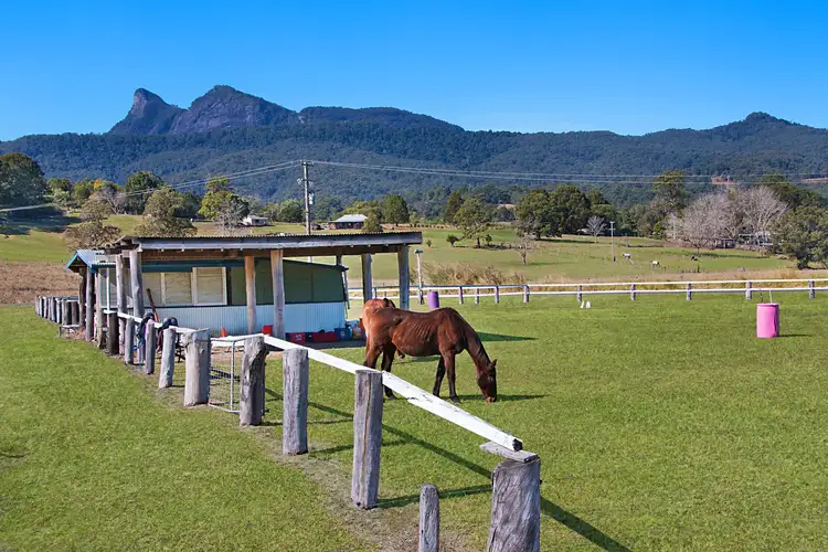 Second view of Homely rural property listing, 32 Yellowood Road, Tyalgum NSW 2484