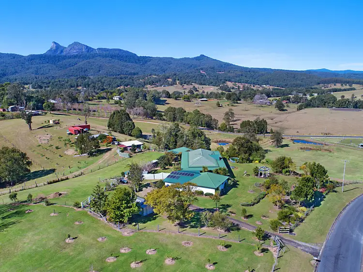 Fifth view of Homely rural property listing, 32 Yellowood Road, Tyalgum NSW 2484