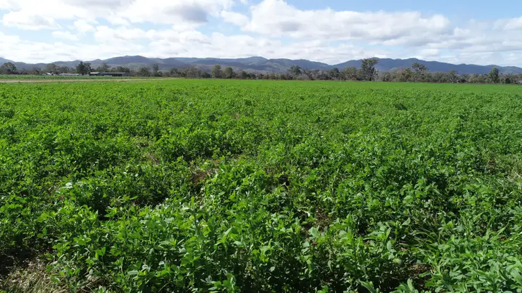 Sixth view of Homely rural property listing, 4615 Gladstone Monto Road, Boyne Valley QLD 4680