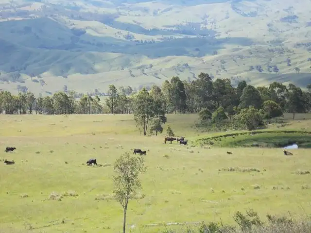 Second view of Homely rural property listing, 1472A Glendonbrook Road, Glendon Brook NSW 2330