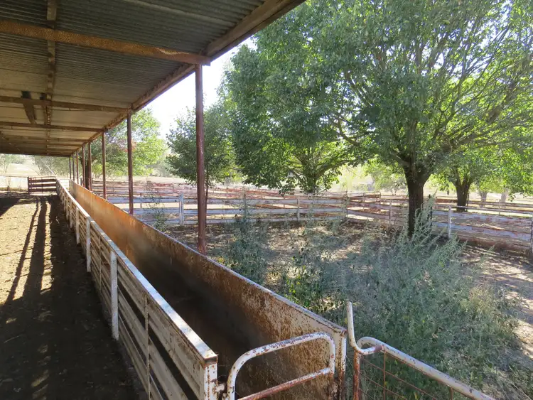 Second view of Homely rural property listing, 'Wooltop' Lachlan Valley Way, Cowra NSW 2794