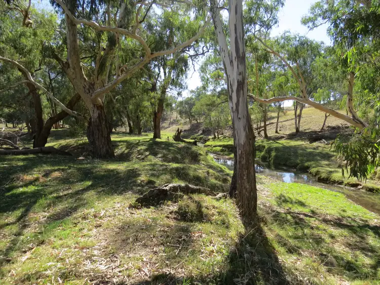 Fourth view of Homely rural property listing, 'Wooltop' Lachlan Valley Way, Cowra NSW 2794