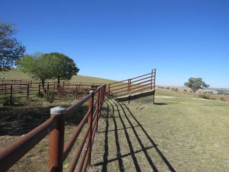 Fifth view of Homely rural property listing, 'Wooltop' Lachlan Valley Way, Cowra NSW 2794