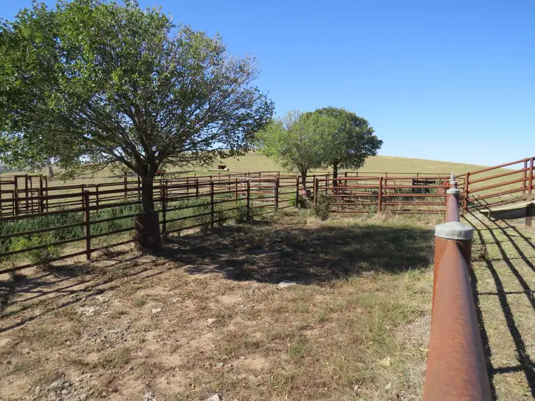 Sixth view of Homely rural property listing, 'Wooltop' Lachlan Valley Way, Cowra NSW 2794