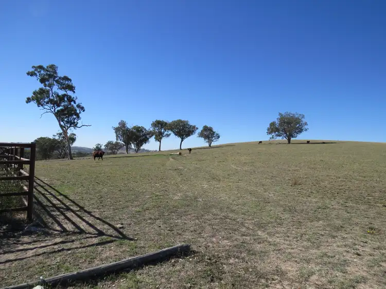 Seventh view of Homely rural property listing, 'Wooltop' Lachlan Valley Way, Cowra NSW 2794