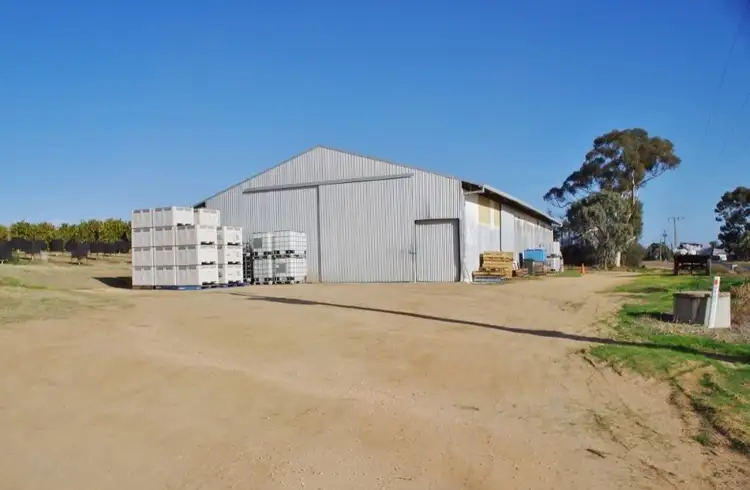 155 Cucumunga Street, Renmark SA 5341