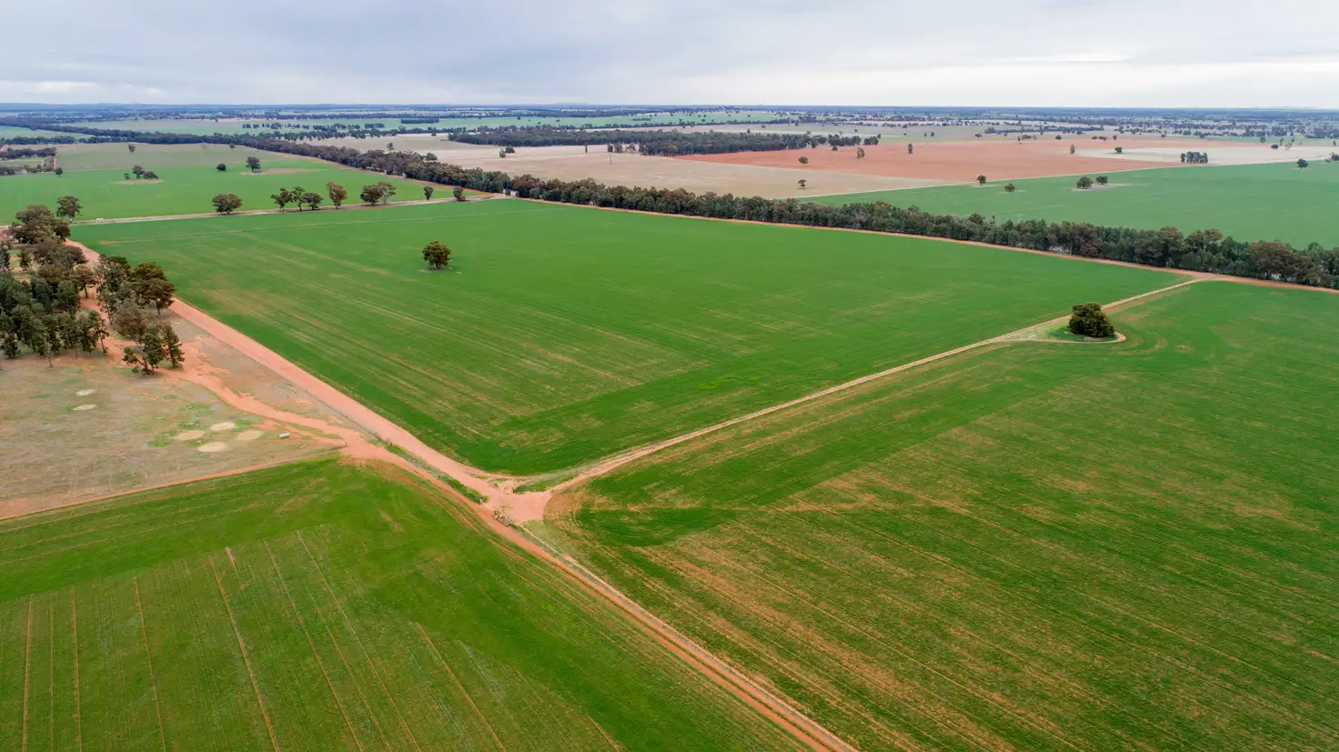 Main view of Homely rural property listing, 2718 Rannock Road, Rannock NSW 2701