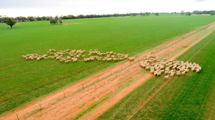 Second view of Homely rural property listing, 2718 Rannock Road, Rannock NSW 2701