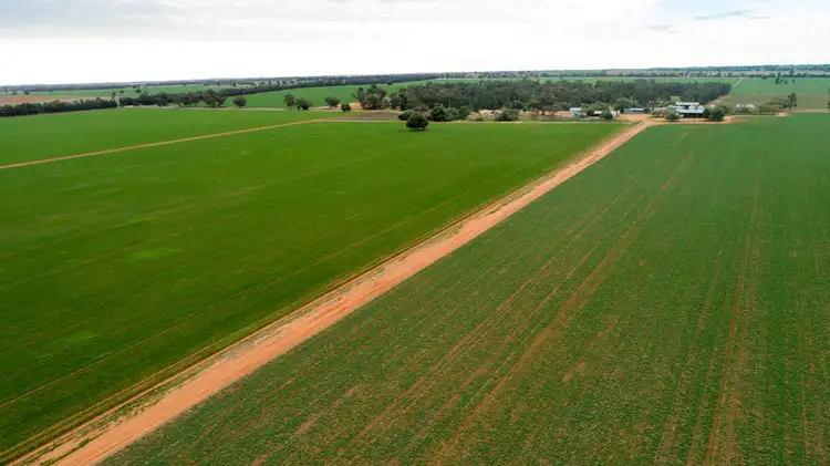 Third view of Homely rural property listing, 2718 Rannock Road, Rannock NSW 2701