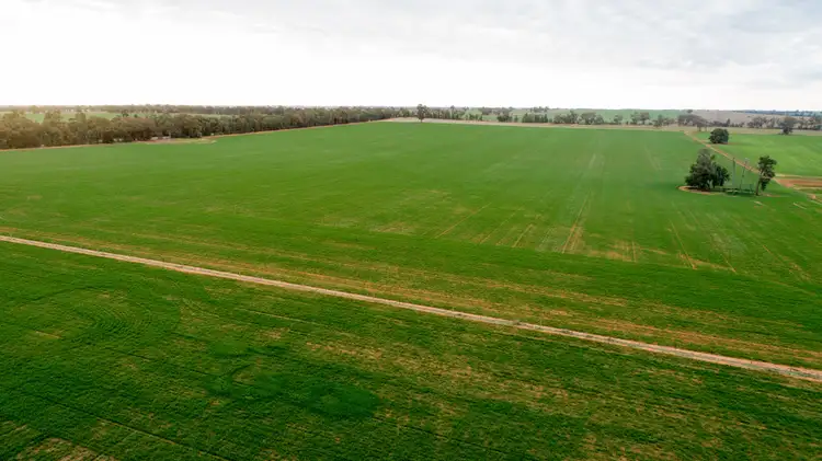 Fourth view of Homely rural property listing, 2718 Rannock Road, Rannock NSW 2701