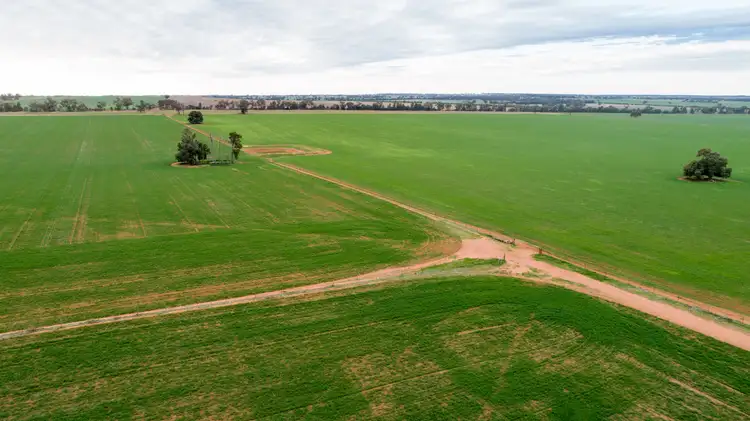 Fifth view of Homely rural property listing, 2718 Rannock Road, Rannock NSW 2701