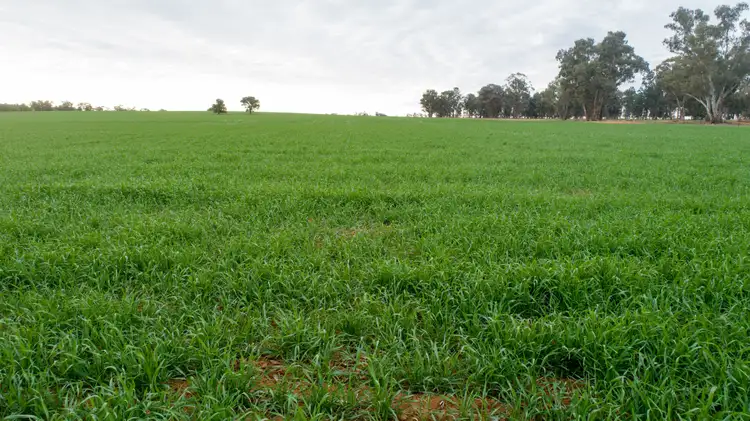 Sixth view of Homely rural property listing, 2718 Rannock Road, Rannock NSW 2701