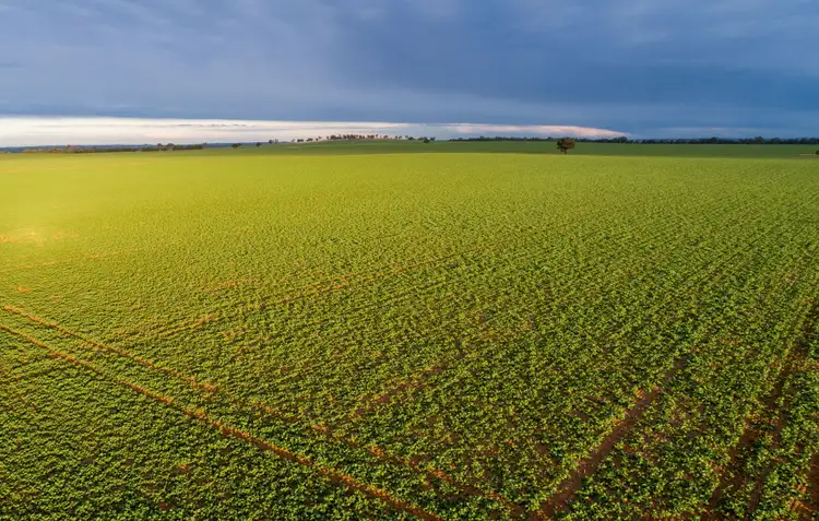 Seventh view of Homely rural property listing, 2718 Rannock Road, Rannock NSW 2701