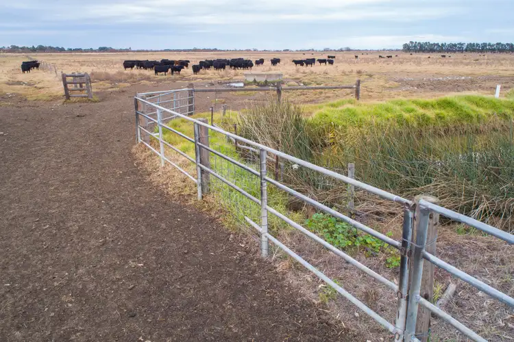 Seventh view of Homely rural property listing, Lot 193 Jervois Road, Wellington SA 5259