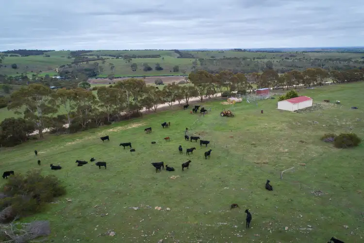 Sixth view of Homely rural property listing, 139 Hillview Road, Strathalbyn SA 5255