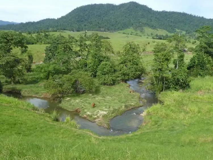 Third view of Homely rural property listing, 277 SERES, Mena Creek QLD 4871