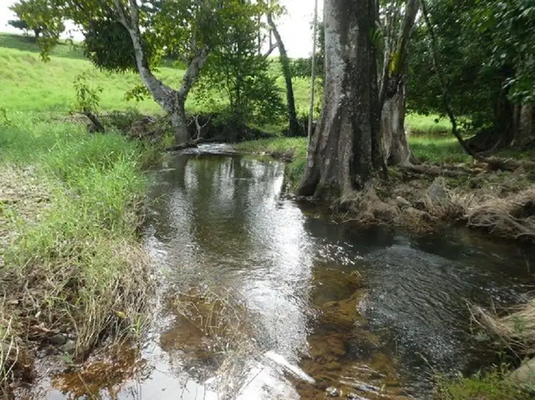 Fifth view of Homely rural property listing, 277 SERES, Mena Creek QLD 4871