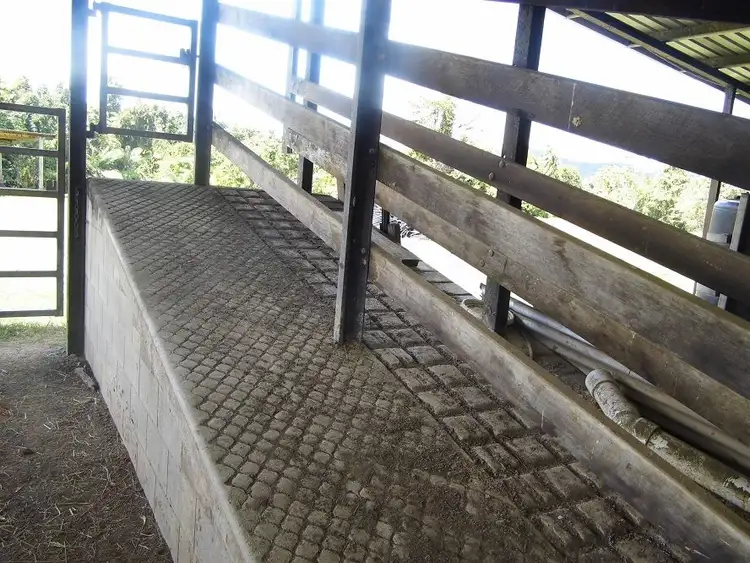 Seventh view of Homely rural property listing, 277 SERES, Mena Creek QLD 4871