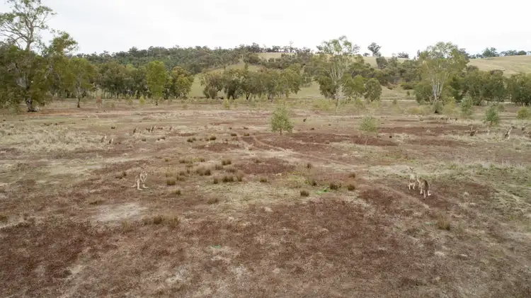 Second view of Homely rural property listing, 192 Roach Road, Moorong NSW 2650