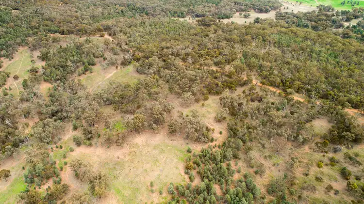 Fifth view of Homely rural property listing, 192 Roach Road, Moorong NSW 2650