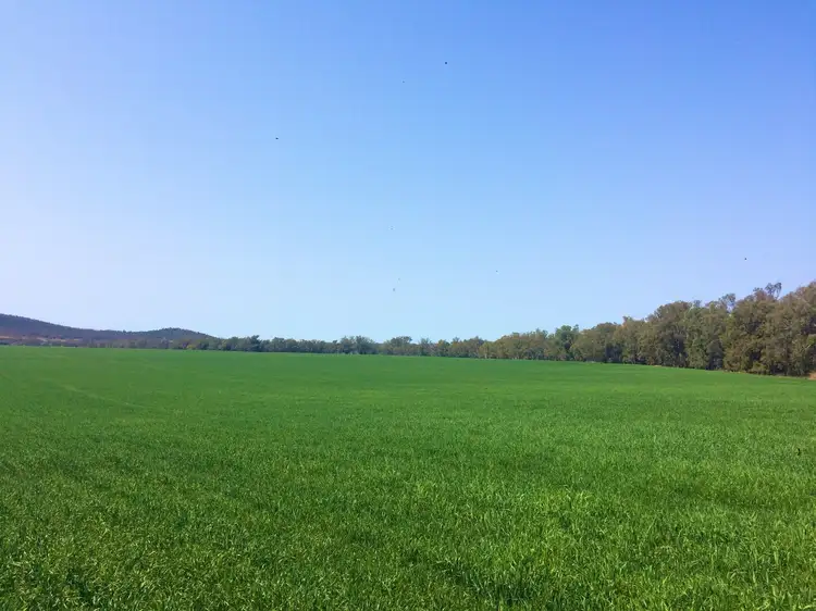 Seventh view of Homely rural property listing, Address available on request