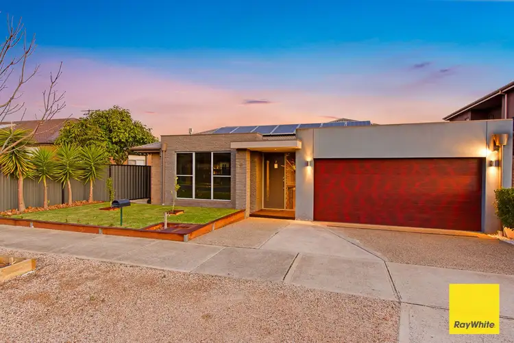 Main view of Homely house listing, 3 Harrington Avenue, Tarneit VIC 3029