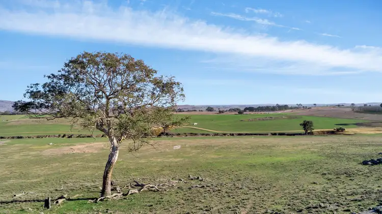 650 Kaveneys Road, Jeir NSW 2582