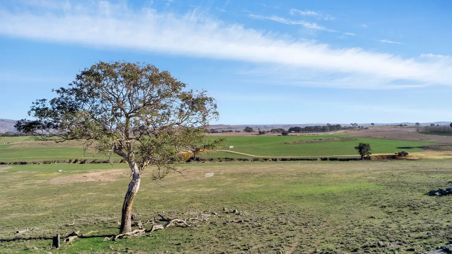 Main view of Homely land listing, 650 Kaveneys Road, Jeir NSW 2582