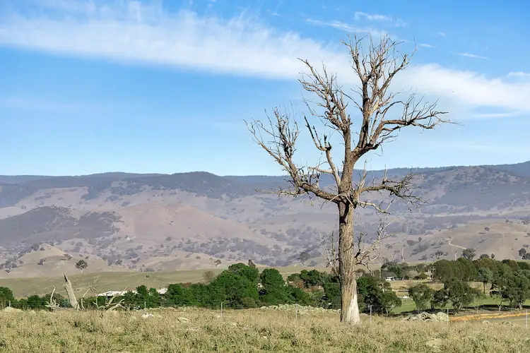 Second view of Homely land listing, 650 Kaveneys Road, Jeir NSW 2582