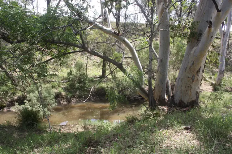 Fourth view of Homely rural property listing, Lot 5 Burnett Highway, Eidsvold QLD 4627