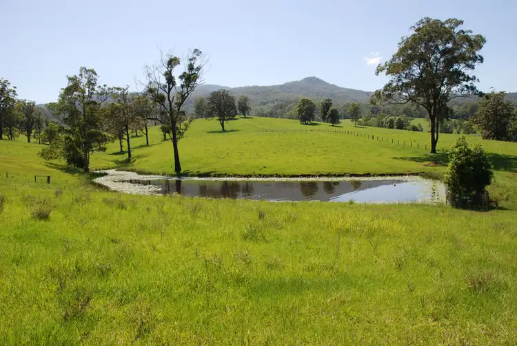 Second view of Homely rural property listing, 149 Jack Smiths Road, Brays Creek NSW 2484