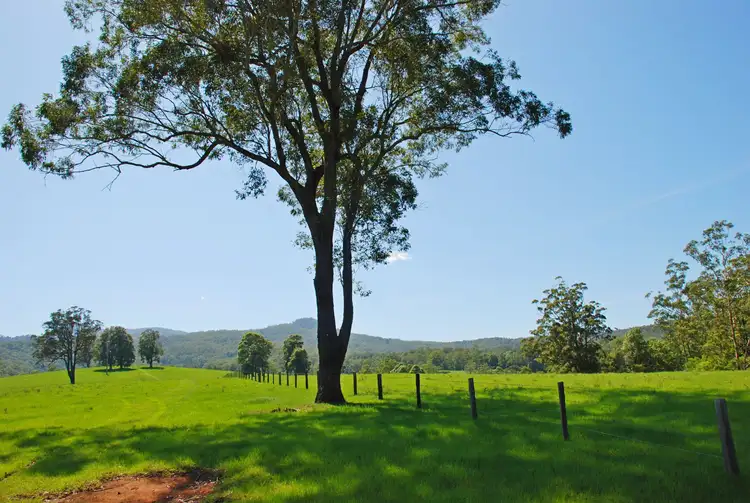 Fourth view of Homely rural property listing, 149 Jack Smiths Road, Brays Creek NSW 2484