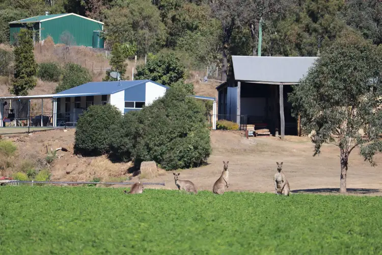 Fourth view of Homely rural property listing, 113 Golf Links Road, Monto QLD 4630