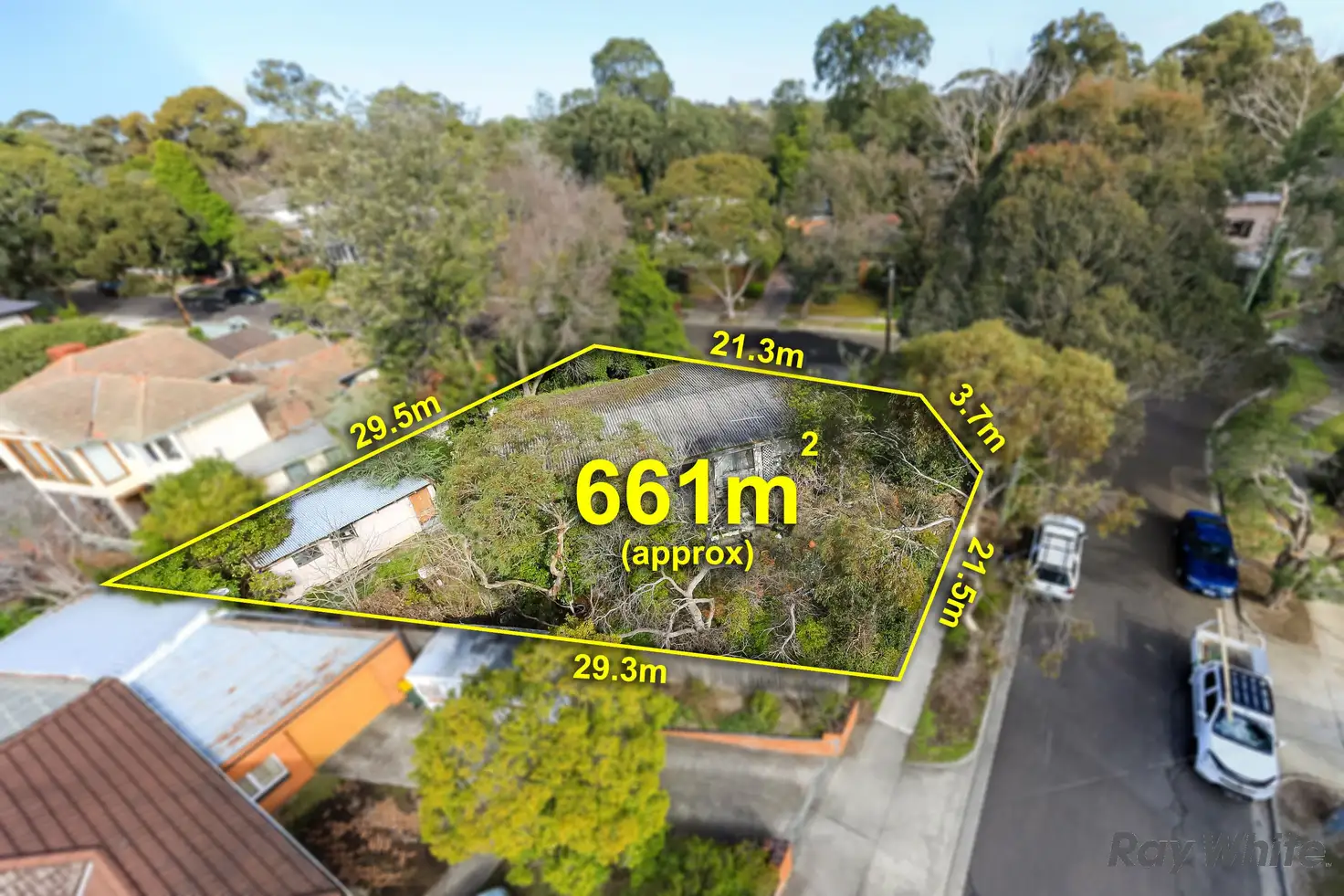 Main view of Homely house listing, 24 Rosalind Crescent, Blackburn VIC 3130