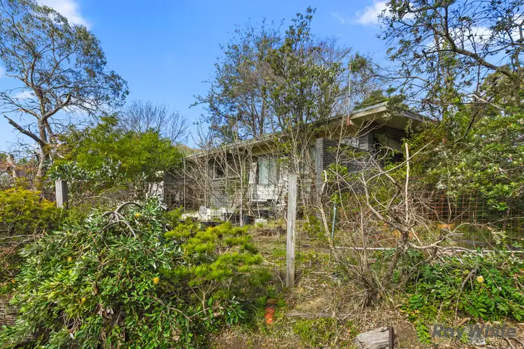 Second view of Homely house listing, 24 Rosalind Crescent, Blackburn VIC 3130